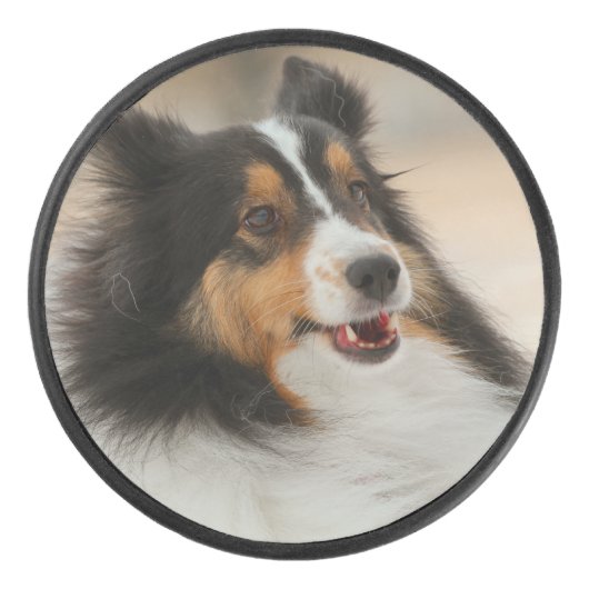 Happy Shelty Hockey Puck (Voorkant)