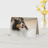 Happy Shelty Kaart (Gele Bloem)