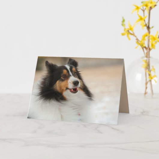 Happy Shelty Kaart (Gele Bloem)