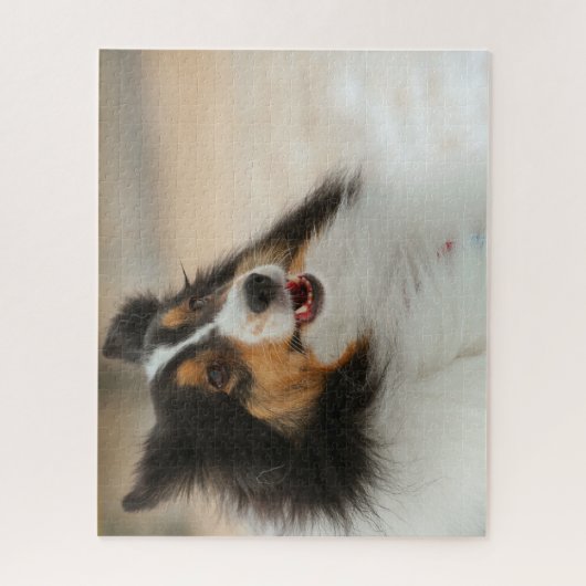 Happy Shelty Legpuzzel (Verticaal)