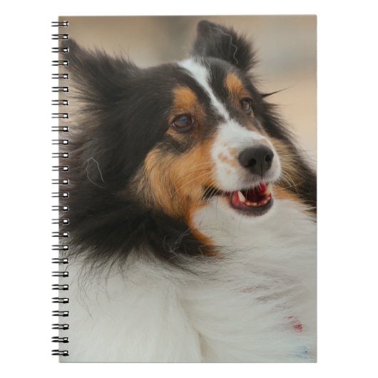 Happy Shelty Notitieboek (Voorkant)