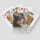 Happy Shelty Pokerkaarten (Achterkant)