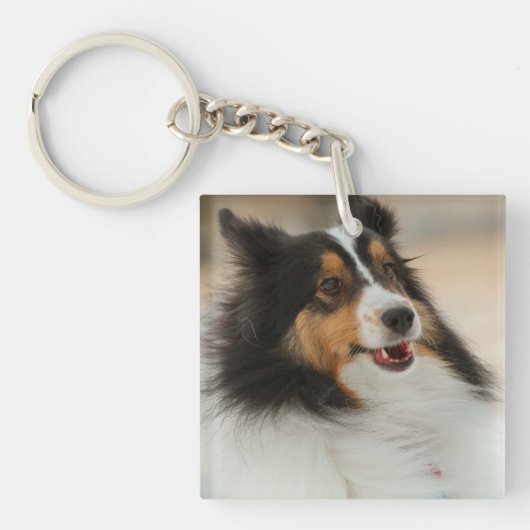 Happy Shelty Voetbal Sleutelhanger (voorkant)