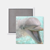 Happy Smiling Dolphin Magneet (Voorkant / Achterkant)