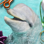 Happy Smiling Dolphin Tissuepapier