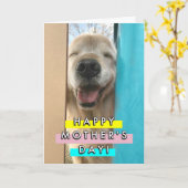 Happy Smiling Golden Retriever Dog Moederdag Kaart (Gele Bloem)