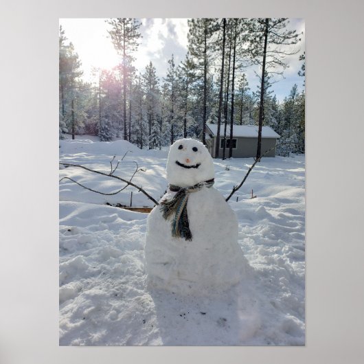 Happy Snowman originele winterfotografie Poster (Voorkant)