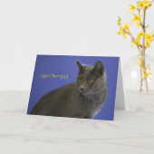 Happy Spint Day Russian Blue beroemd gemaakt door  Kaart (Gele Bloem)