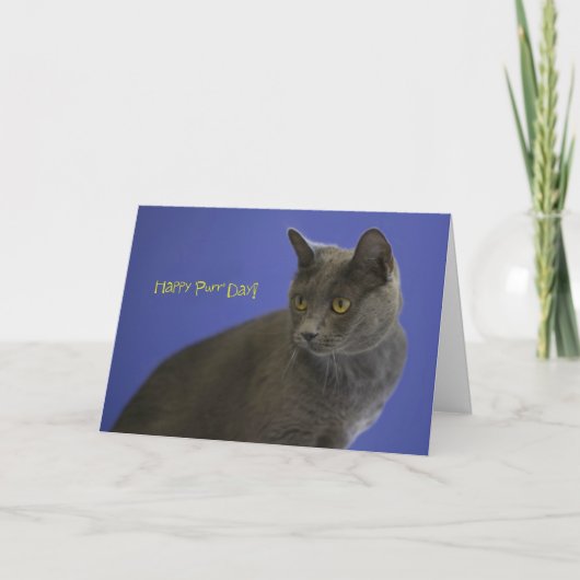 Happy Spint Day Russian Blue beroemd gemaakt door  Kaart (Voorkant)