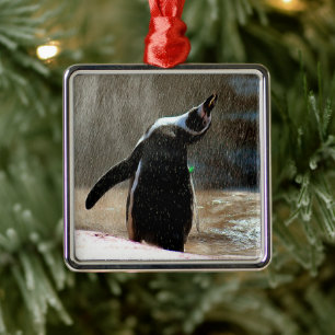 Happy Splashing Penguin Framed Metal Kerstmis Metalen Ornament