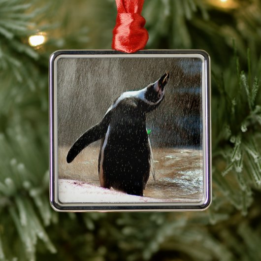 Happy Splashing Penguin Framed Metal Kerstmis Metalen Ornament (Boom)