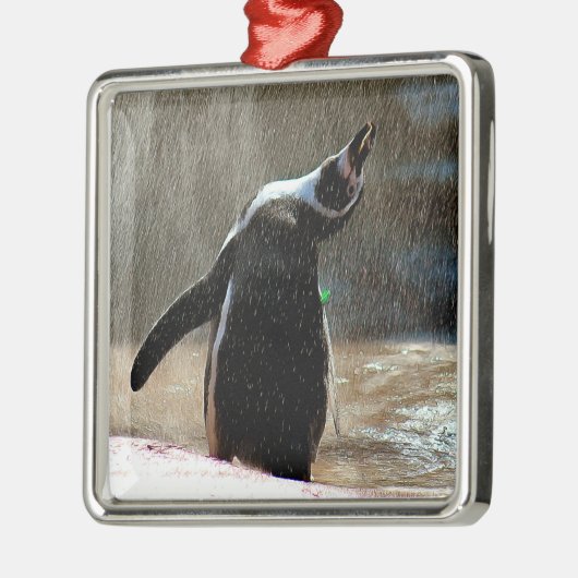 Happy Splashing Penguin Framed Metal Kerstmis Metalen Ornament (Links)