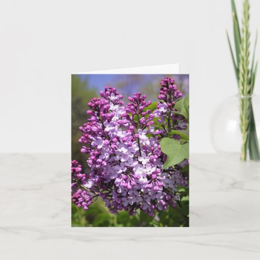 Happy Spring Bedankkaart (Voorkant)