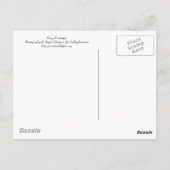 Happy Spring Briefkaart (Achterkant)
