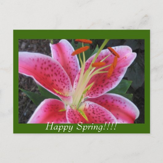 Happy Spring!!Briefkaart Briefkaart (Voorkant)