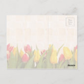 Happy Spring Colorful Tulips Briefkaart (Achterkant)
