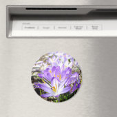 Happy Spring Crocus Magnet (Insitu (Vaatwasser))