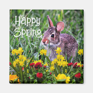 Happy Spring Daffodils en Rabbit Magnet