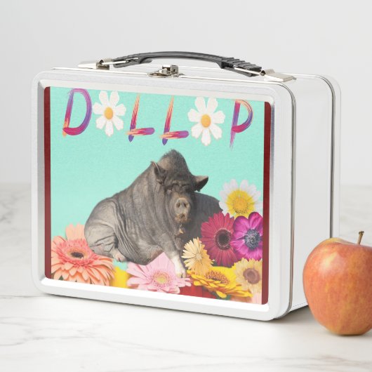 Happy Spring Dollop Lunch Box! (In situ)