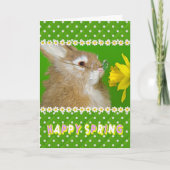 Happy Spring Easter Bunny Feestdagen Kaart (Voorkant)
