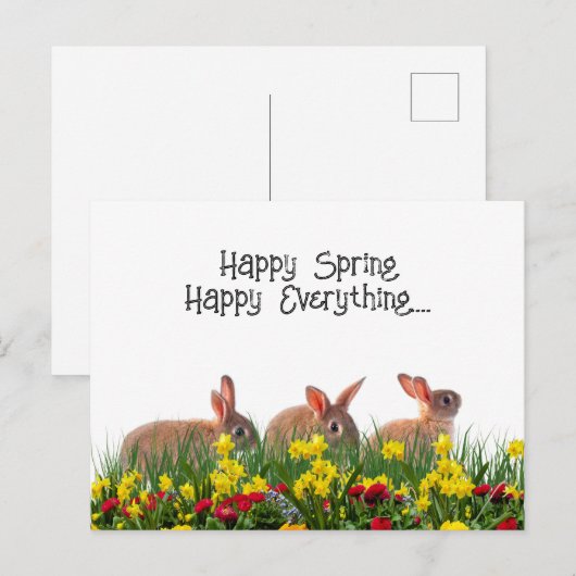 Happy Spring Flowers en Rabbits Briefkaart (Voorkant / Achterkant)