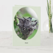 Happy Spring | Hummingvogels op de Nest-foto | Feestdagen Kaart (Achterkant)