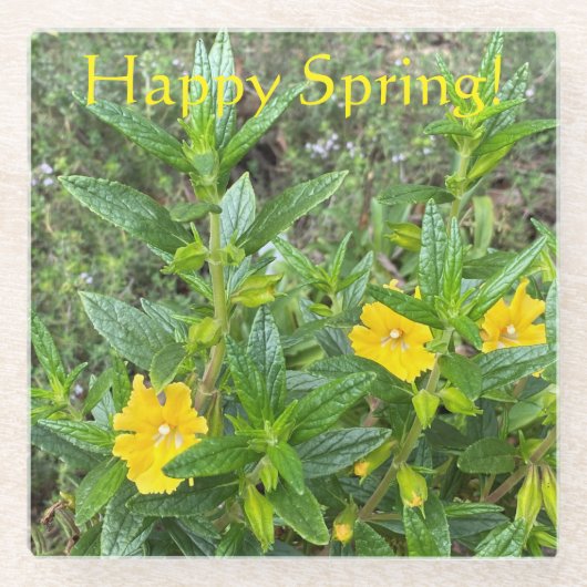 Happy Spring Monkeybloemen! Glazen Onderzetter (Voorkant)