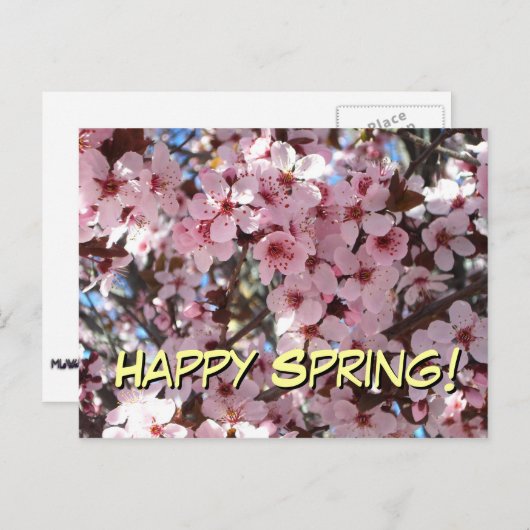 Happy Spring Pink Briefkaart bloesems (Voorkant / Achterkant)