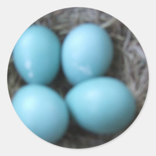 Happy Spring Robins Blue Eggs in Nest, Bird Eggs Ronde Sticker