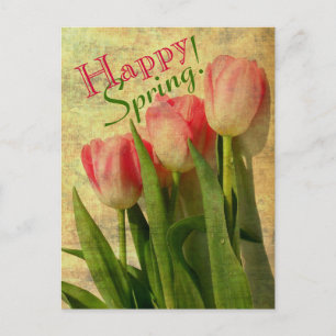 Happy Spring Tulips Briefkaarten