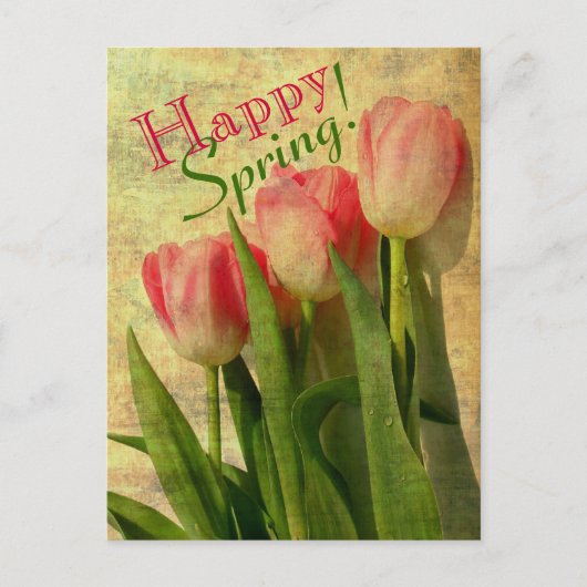 Happy Spring Tulips Briefkaarten (Voorkant)