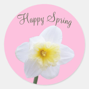 Happy Spring White Daffodil Flower Pink Sticker