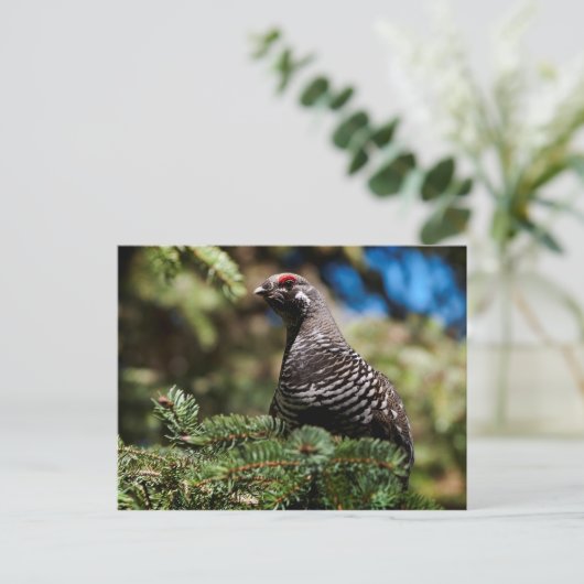 Happy Spruce Grouse Briefkaart (Staand voorkant)