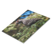 Happy Spruce Grouse Notitieblok (Schuin)