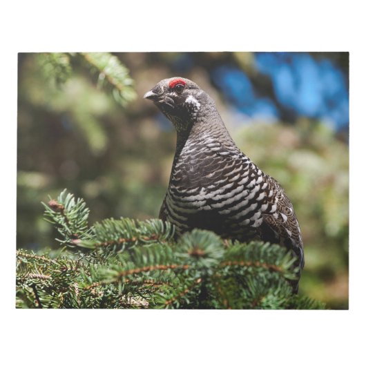 Happy Spruce Grouse Notitieblok (Voorkant)