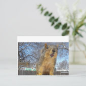Happy Squirell Briefkaart (Staand voorkant)