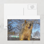 Happy Squirell Briefkaart (Voorkant / Achterkant)