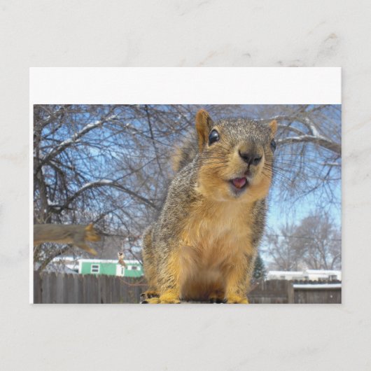 Happy Squirell Briefkaart (Voorkant)