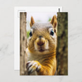 Happy Squirrel Briefkaart (Voorkant / Achterkant)