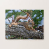 Happy Squirrel Legpuzzel (Horizontaal)
