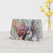 Happy Squirrel Wenskaart Kaart (Gele Bloem)