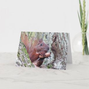 Happy Squirrel Wenskaart Kaart