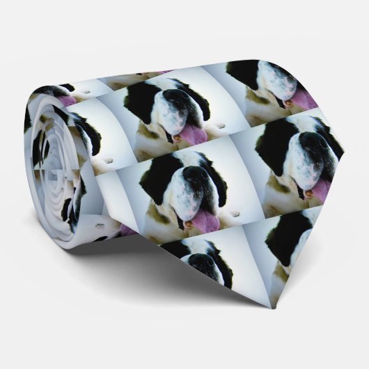 HAPPY ST. BERNARD STROPDAS (Opgerold)