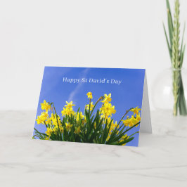 Happy St David’s Day Daffodils Welsh Greeting Kaart