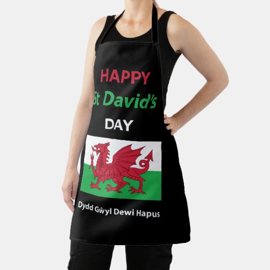 Happy St David's Day Dydd Garreyl Dewi Hapus Schort (Insitu)