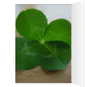 HAPPY ST. PATRICKS DAGELIJKS Kaart (Binnen (Links))