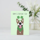 Happy St Patricks Day Brown Dog Green Briefkaart (Staand voorkant)