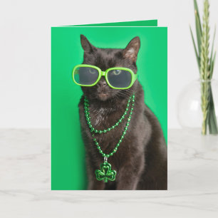 Happy St Patricks Day Cat in Green Humor Feestdagen Kaart