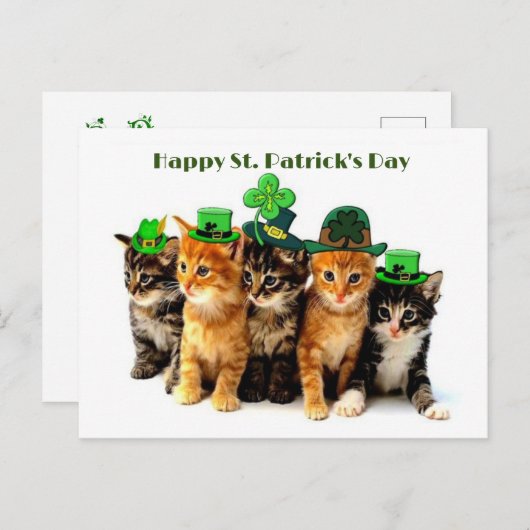 Happy St. Patrick's day cats briefkaart (Voorkant / Achterkant)