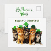 Happy St. Patrick's day cats briefkaart (Voorkant / Achterkant)